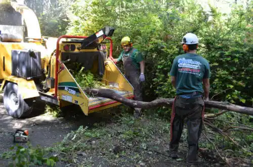 tree services Comer